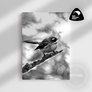 Pīwakawaka | Fantail (Canvas)