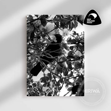 Tūī (Canvas)