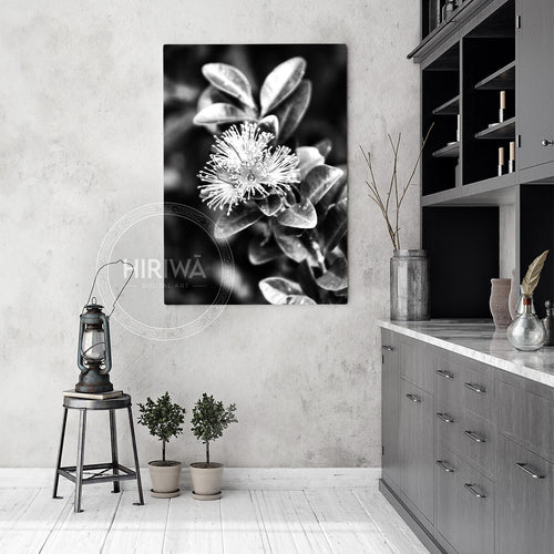 Akatawhiwhi | Rātā Vine (Canvas)