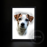 Gift Voucher - A0 Pet Portrait