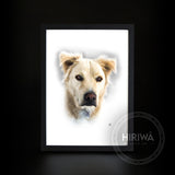 Gift Voucher - A3 Pet Portrait