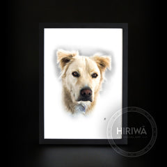 Gift Voucher - A3 Pet Portrait