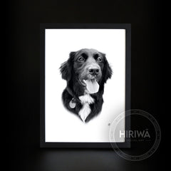 Gift Voucher - A4 Pet Portrait