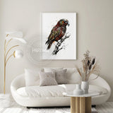 Kākā (Print)
