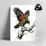 Kea (Print) — artwork by Hiriwā Digital Art