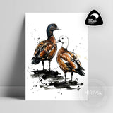 Pūtangitangi | Paradise Duck (Print) — artwork by Hiriwā Digital Art