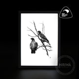 Kererū | Wood Pigeon (Print)