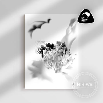 Pī Mīere | Honey Bee (Canvas)