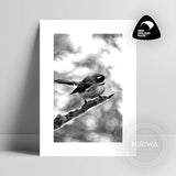 Pīwakawaka | Fantail (Print)