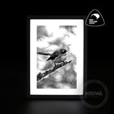 Pīwakawaka | Fantail (Print)