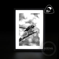 Pīwakawaka | Fantail (Print)