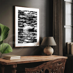 Pūtangitangi | Paradise Duck (Print)
